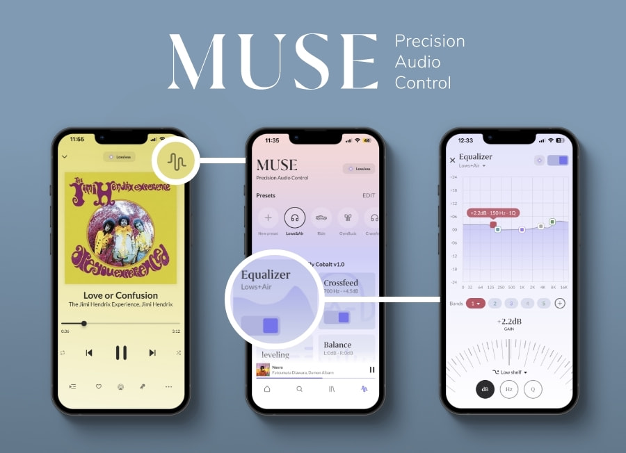 roon-muse-precision-audio-control-app.jpg