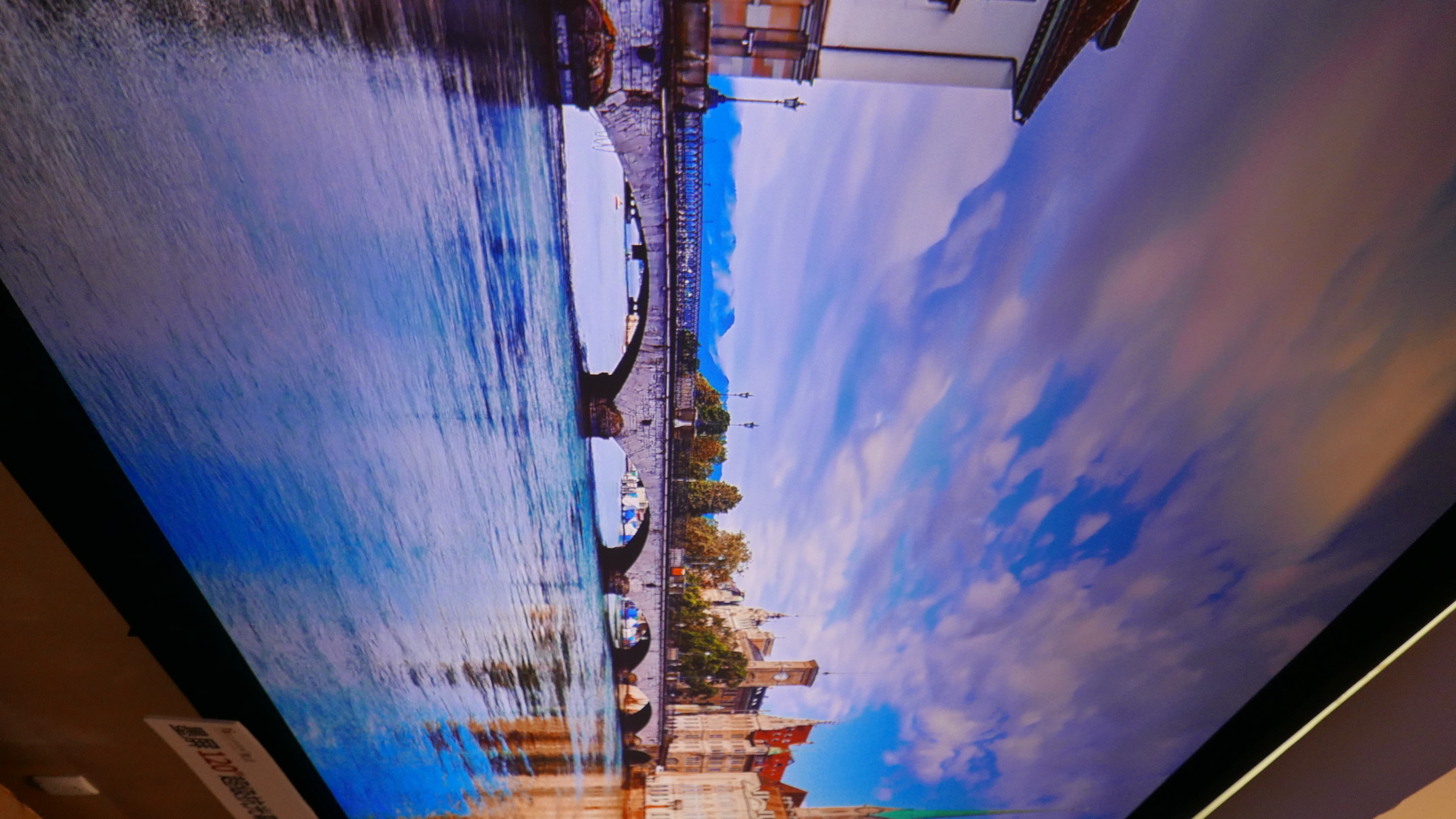 L1130114.JPG