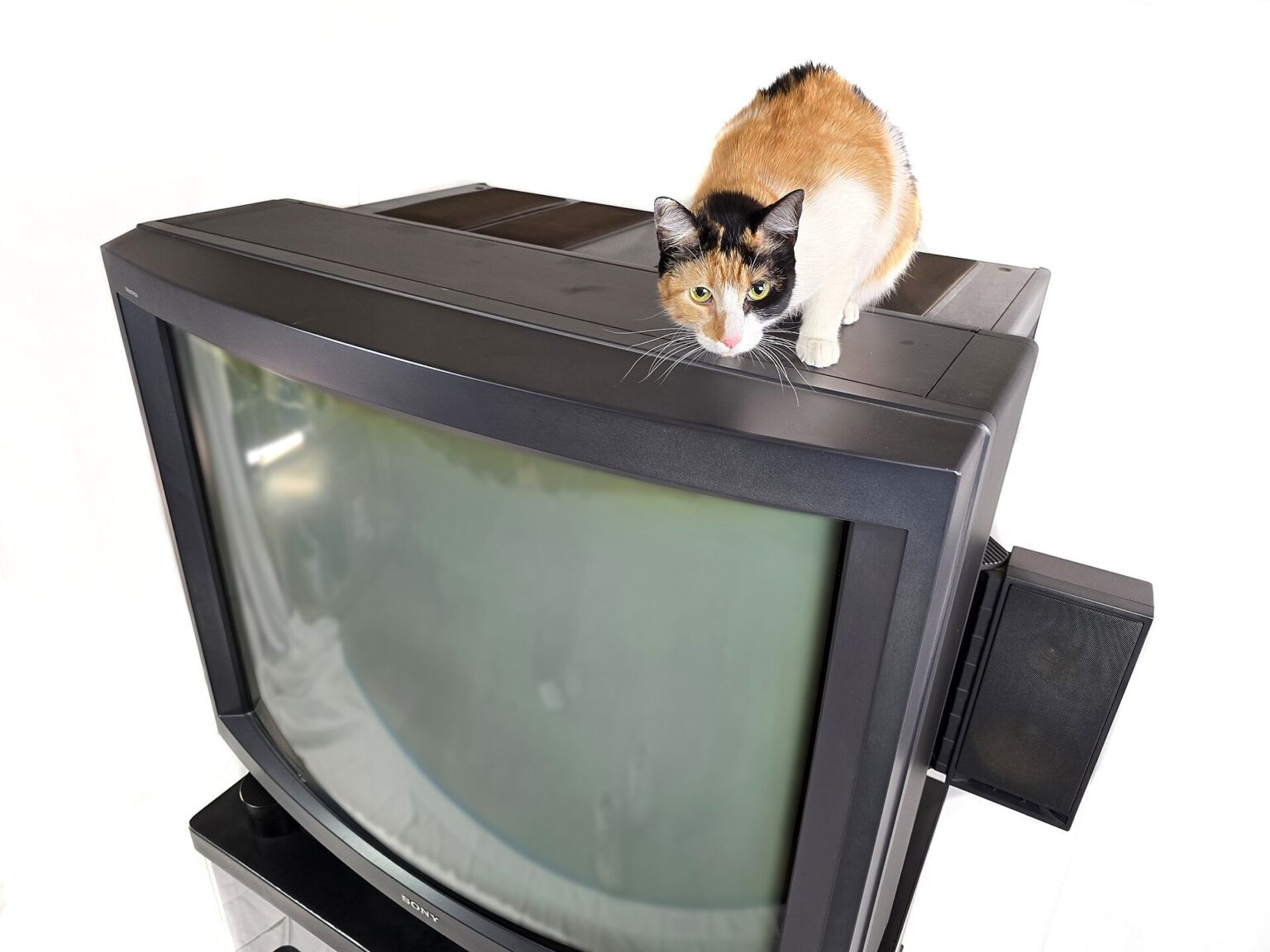 素材Top_of_Sony_PVM-4300_KX-45ED1_with_cat-1536x1152.png