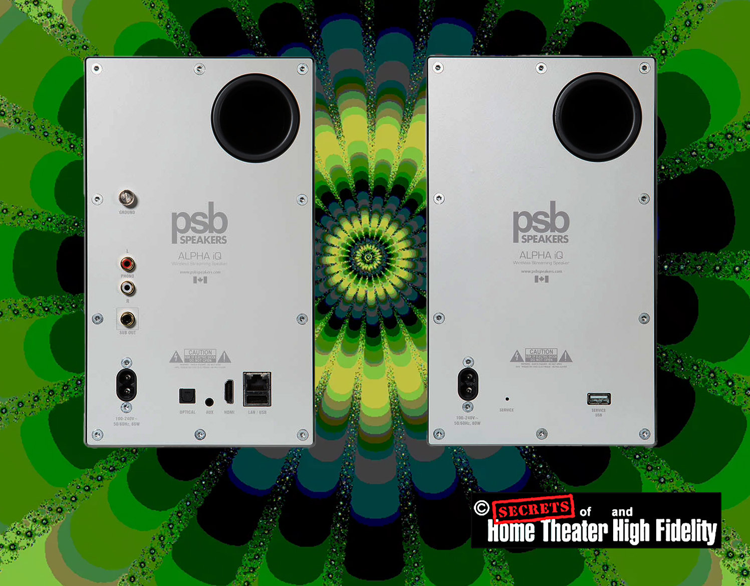 PSB Alpha iQ Wireless Bookshelf Speakers Matte White Pair Rear Panel View.jpg