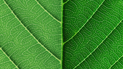 PQ-9_Best-Clarity-for-individual-objects-480x270.png
