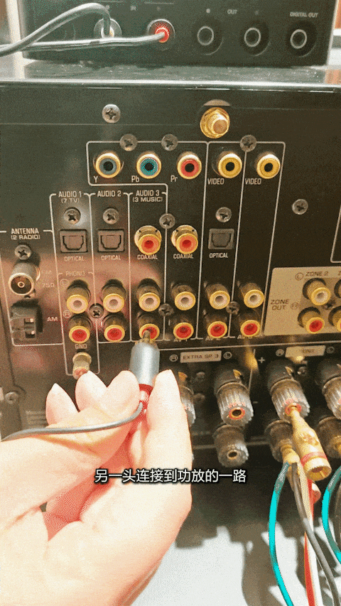 9.gif